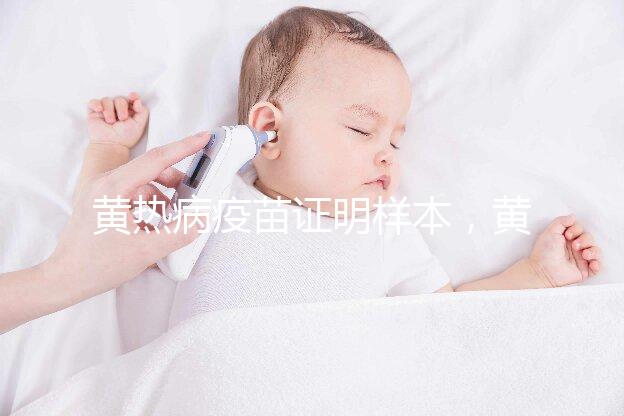 黃熱病疫苗證明樣本，黃皮書有效期10年附詳細辦理流程