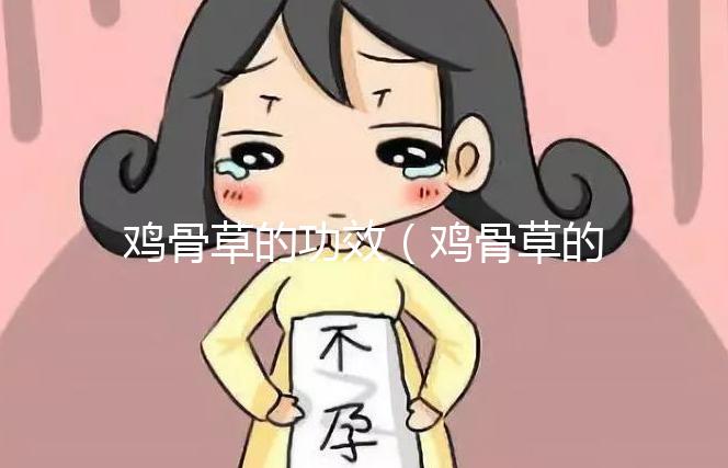 雞骨草的功效（雞骨草的功效與作用主要治什么病）