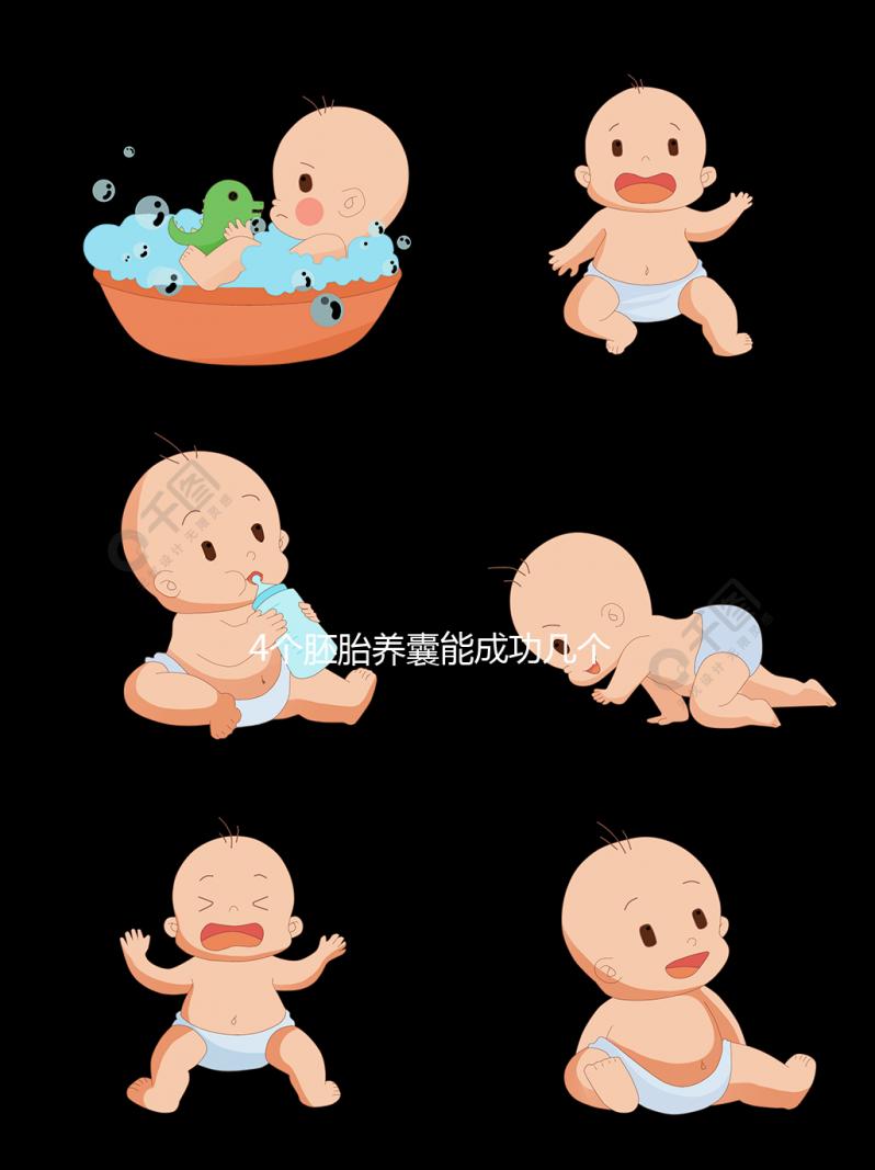 4個胚胎養(yǎng)囊能成功幾個看這，原來成功率和這3點相關