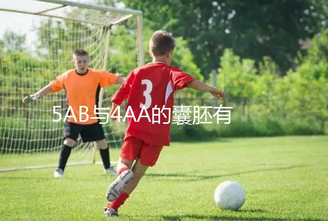 5AB與4AA的囊胚有什么區(qū)別?誰更適合移植?