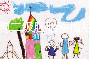 9細(xì)胞二級(jí)胚胎移植后8天沒感覺，成功率依然很高