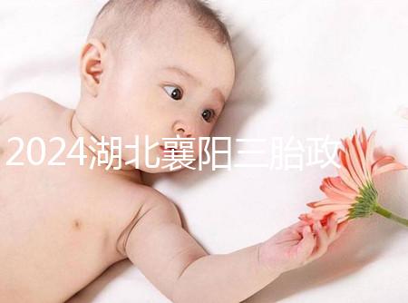 2024湖北襄陽三胎政策最新消息速覽,國家獎勵1萬購房補(bǔ)貼