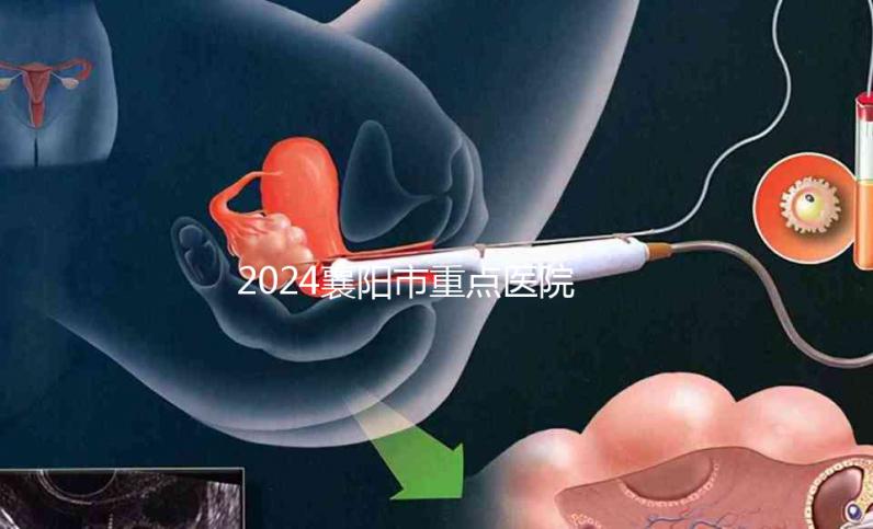 2024襄陽市重點(diǎn)醫(yī)院試管嬰兒費(fèi)用明細(xì)，各項(xiàng)收費(fèi)標(biāo)準(zhǔn)已列出