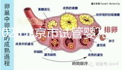 2025北京市試管嬰兒醫(yī)院排名TOP10:推薦5家私立機構+5家公立醫(yī)院