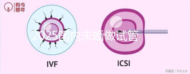 2025國內未婚做試管嬰兒的機構都是哪些？